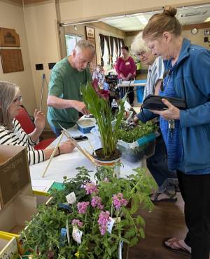 Plant sale